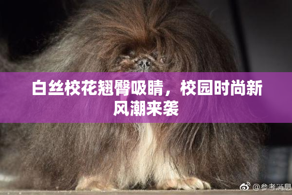白丝校花翘臀吸睛，校园时尚新风潮来袭
