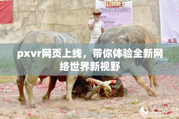 pxvr网页上线，带你体验全新网络世界新视野
