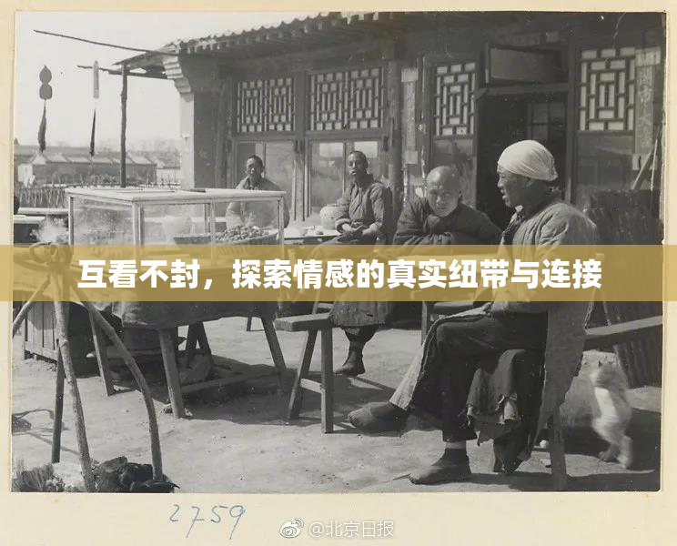 互看不封，探索情感的真实纽带与连接