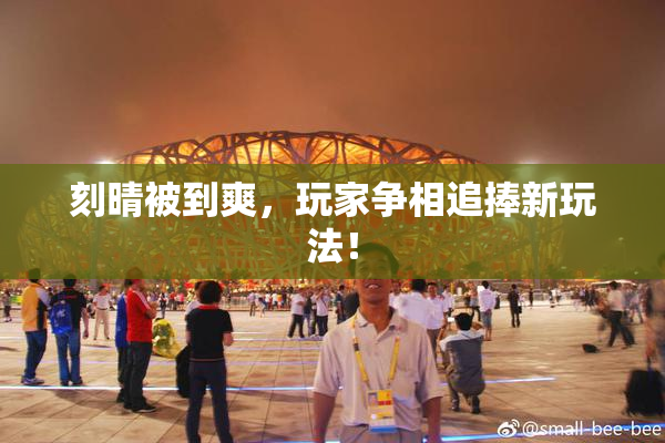 刻晴被到爽，玩家争相追捧新玩法！