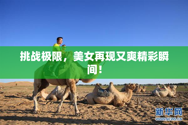 挑战极限，美女再现又爽精彩瞬间！