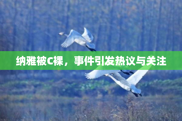 纳雅被C裸，事件引发热议与关注