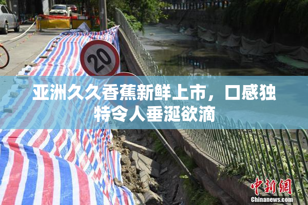 亚洲久久香蕉新鲜上市，口感独特令人垂涎欲滴