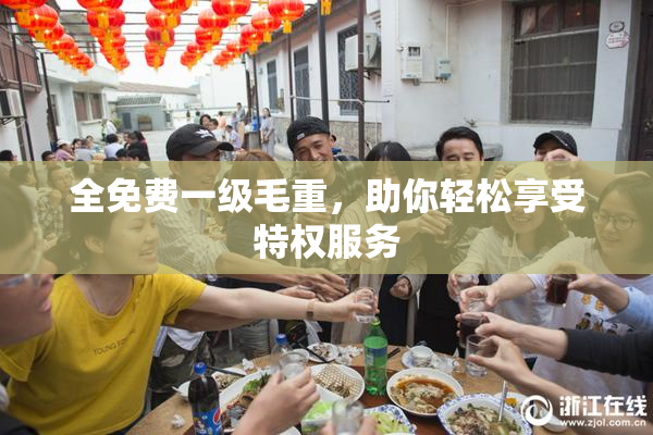 全免费一级毛重，助你轻松享受特权服务