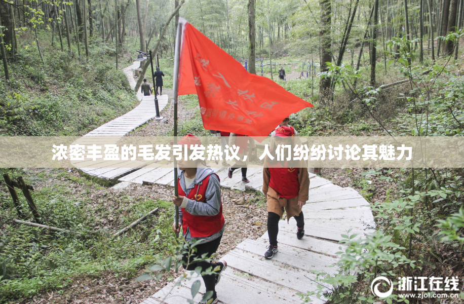 浓密丰盈的毛发引发热议，人们纷纷讨论其魅力