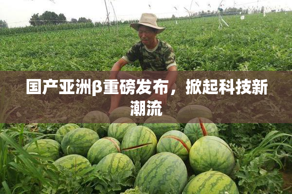 国产亚洲β重磅发布，掀起科技新潮流