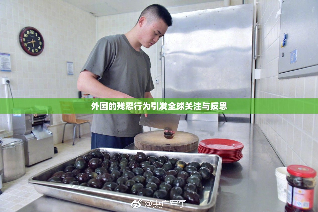 外国的残忍行为引发全球关注与反思