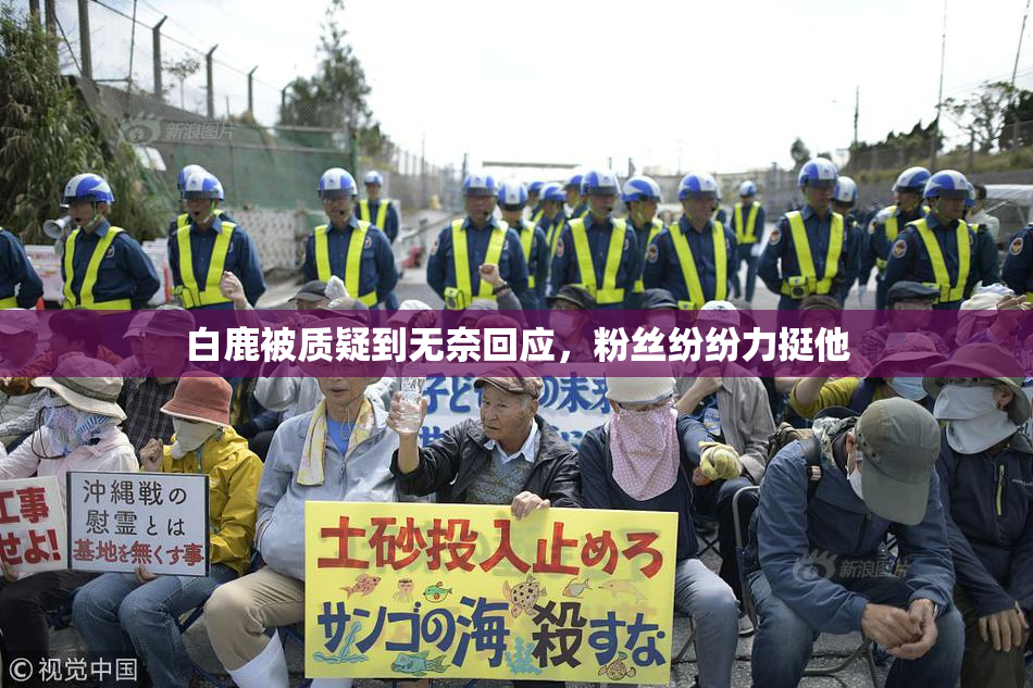 白鹿被质疑到无奈回应，粉丝纷纷力挺他
