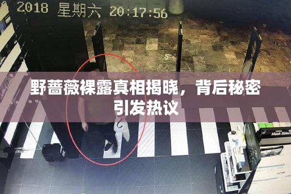 野蔷薇裸露真相揭晓，背后秘密引发热议