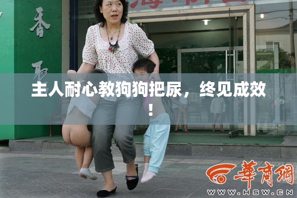 主人耐心教狗狗把尿，终见成效！