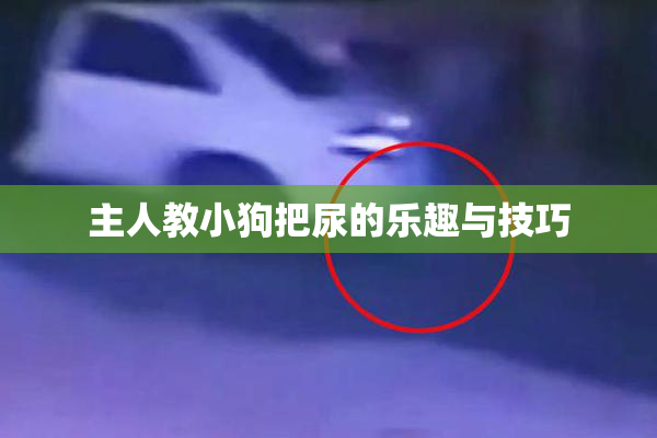 主人教小狗把尿的乐趣与技巧