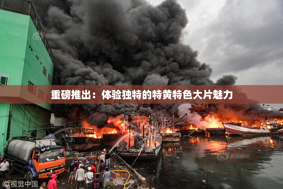 重磅推出：体验独特的特黄特色大片魅力