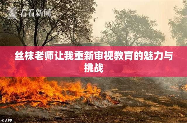 丝袜老师让我重新审视教育的魅力与挑战