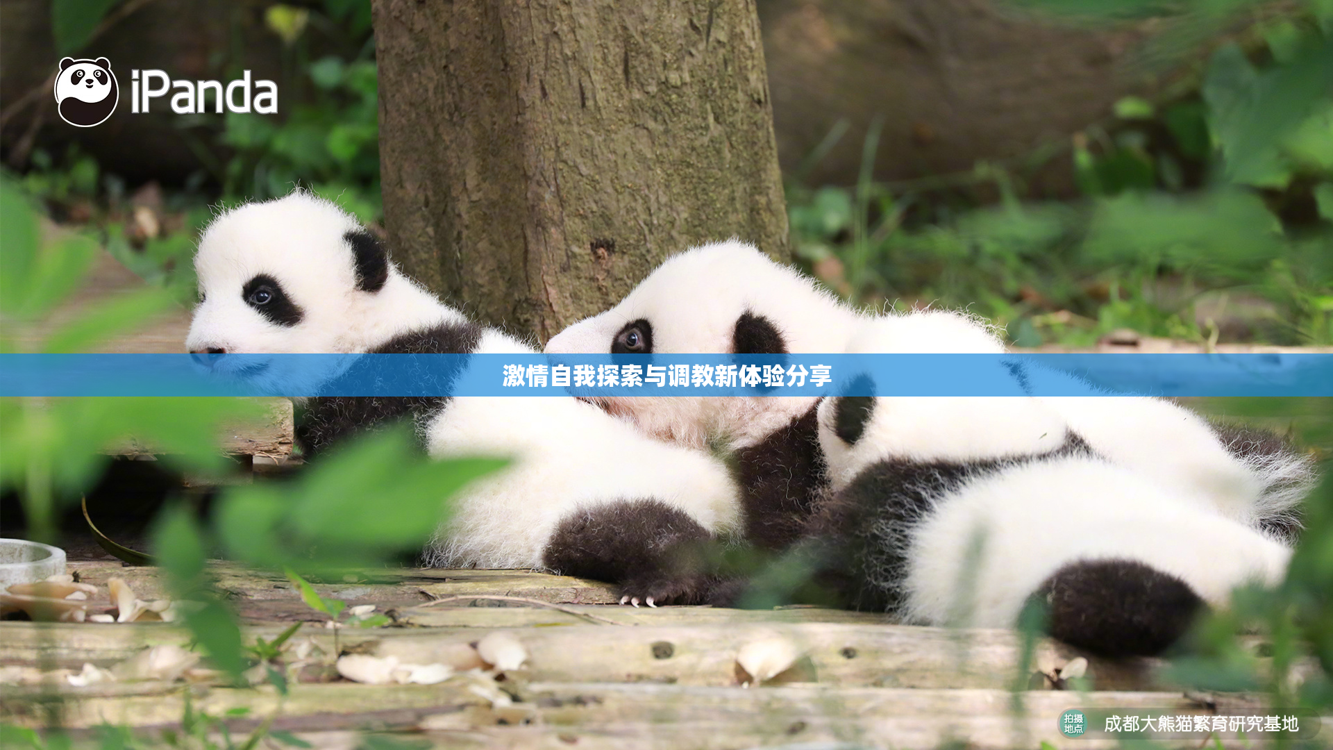 激情自我探索与调教新体验分享