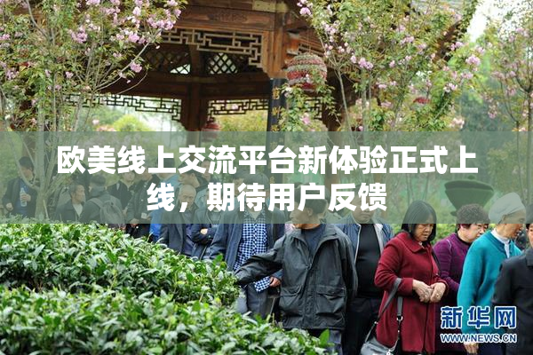 欧美线上交流平台新体验正式上线，期待用户反馈