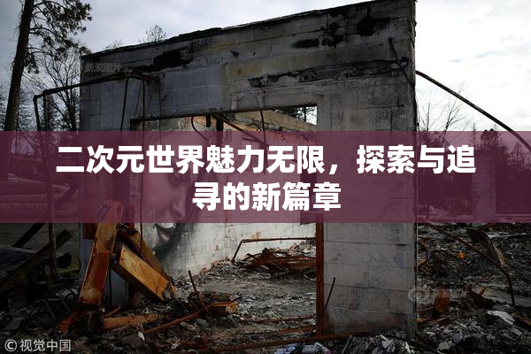 二次元世界魅力无限，探索与追寻的新篇章