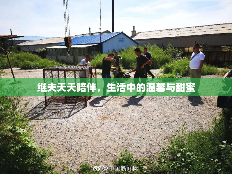 继夫天天陪伴，生活中的温馨与甜蜜