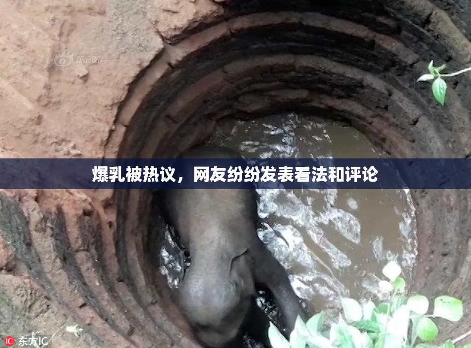 爆乳被热议，网友纷纷发表看法和评论