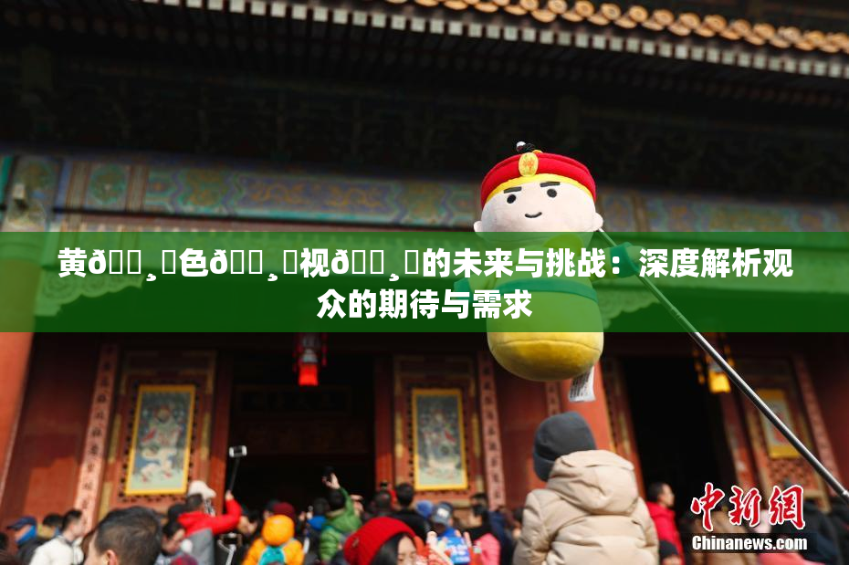 黄🌸‌色🌸‌视🌸‌的未来与挑战：深度解析观众的期待与需求