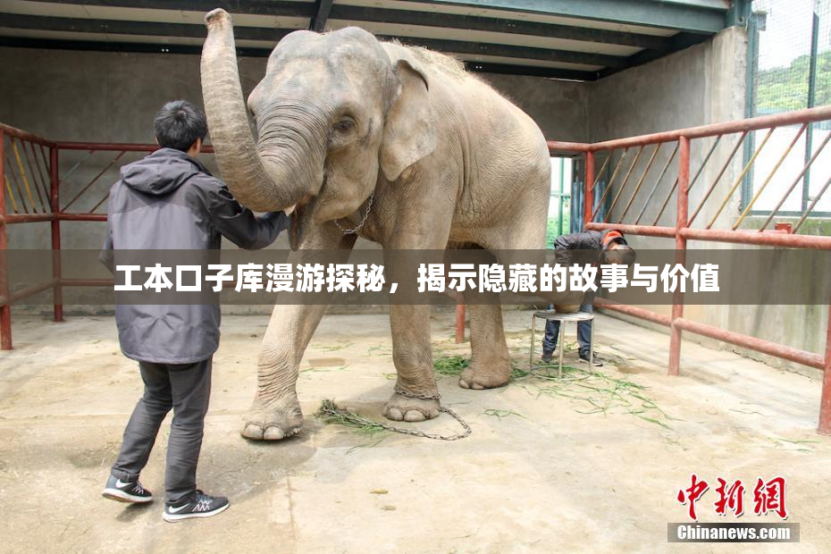 工本口子库漫游探秘，揭示隐藏的故事与价值