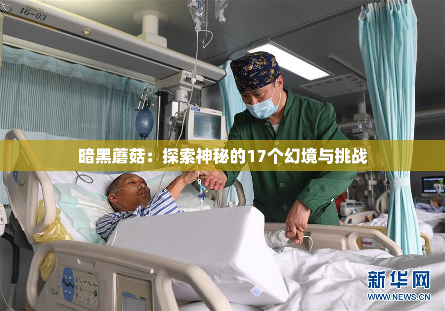 暗黑蘑菇：探索神秘的17个幻境与挑战