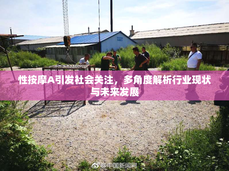 性按摩A引发社会关注，多角度解析行业现状与未来发展