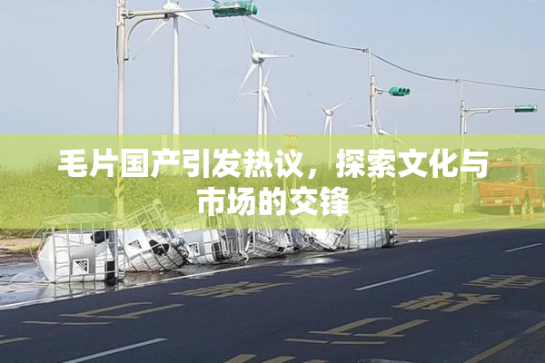 毛片国产引发热议，探索文化与市场的交锋