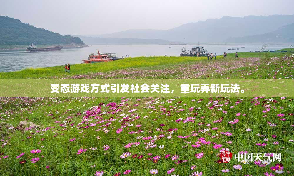 变态游戏方式引发社会关注，重玩弄新玩法。