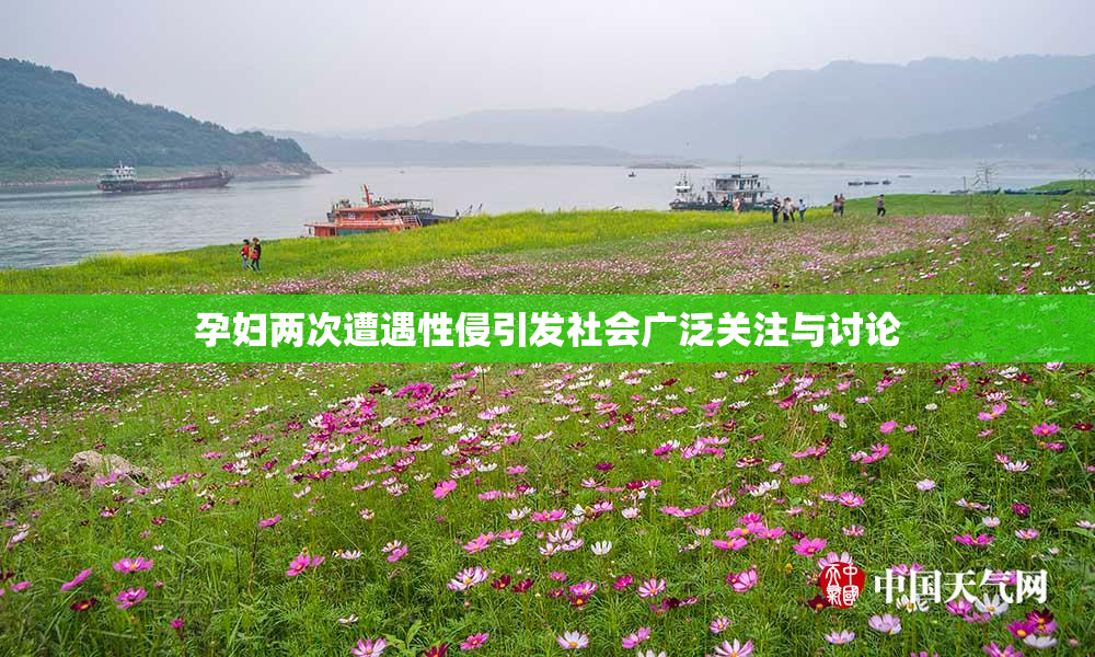 孕妇两次遭遇性侵引发社会广泛关注与讨论