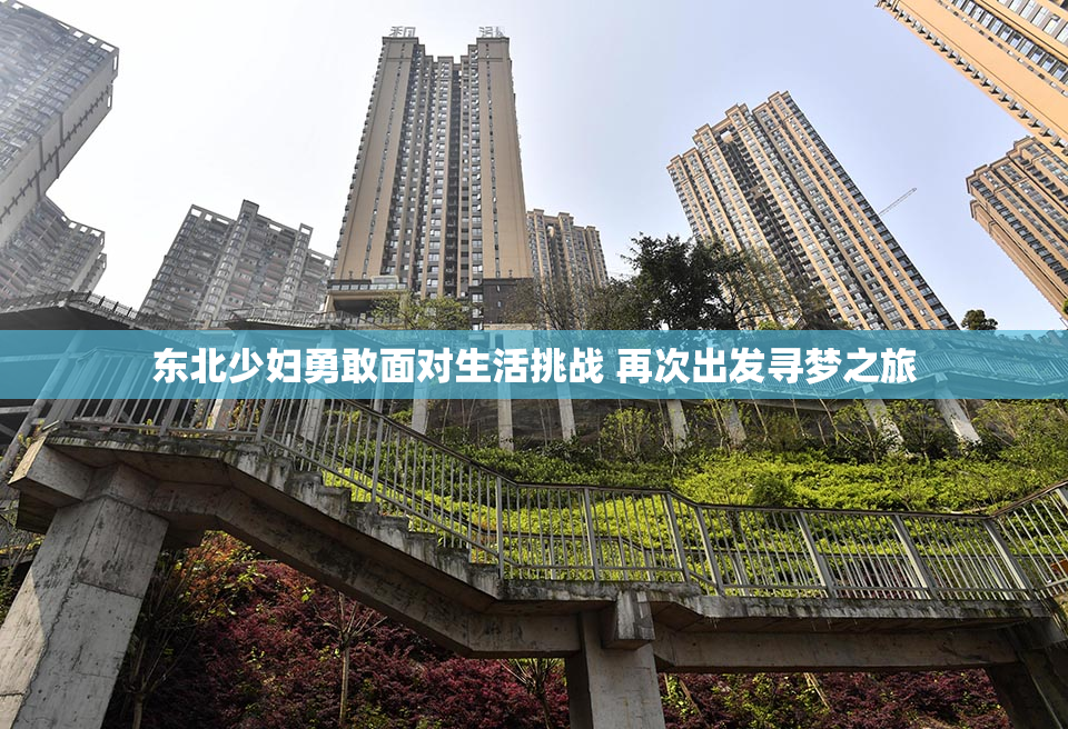 东北少妇勇敢面对生活挑战 再次出发寻梦之旅