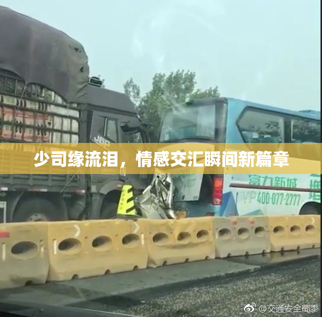 少司缘流泪，情感交汇瞬间新篇章