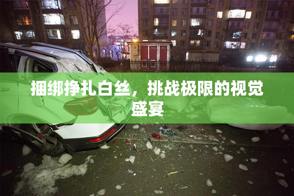 捆绑挣扎白丝，挑战极限的视觉盛宴
