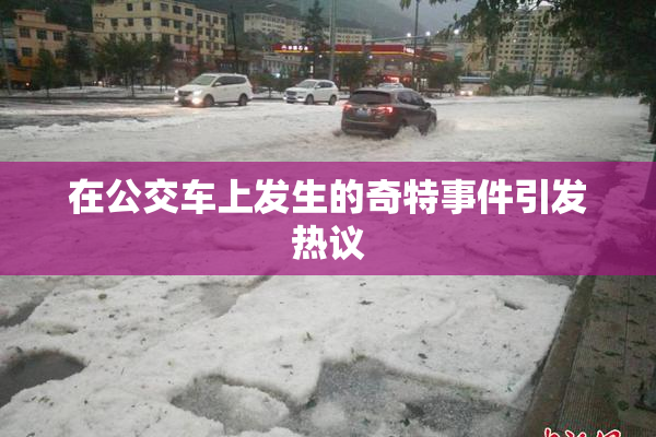 在公交车上发生的奇特事件引发热议