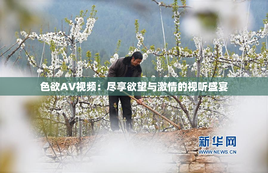 色欲AV视频：尽享欲望与激情的视听盛宴