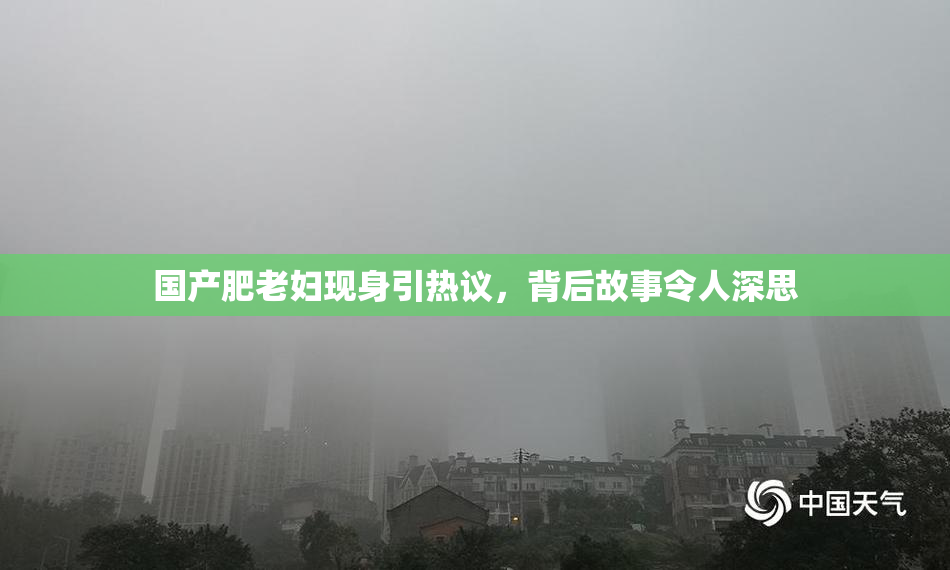 国产肥老妇现身引热议，背后故事令人深思