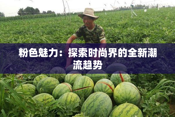 粉色魅力：探索时尚界的全新潮流趋势