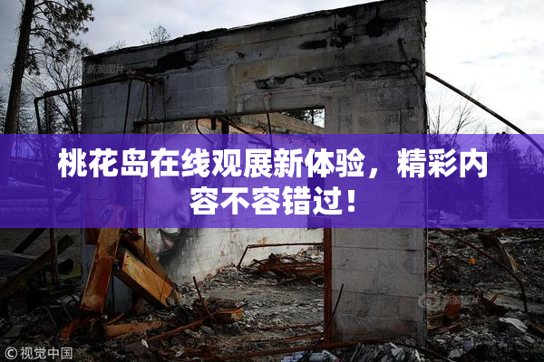 桃花岛在线观展新体验，精彩内容不容错过！