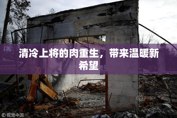 清冷上将的肉重生，带来温暖新希望