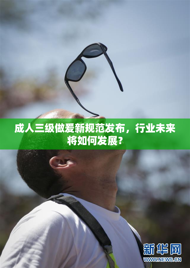 成人三级做爰新规范发布，行业未来将如何发展？