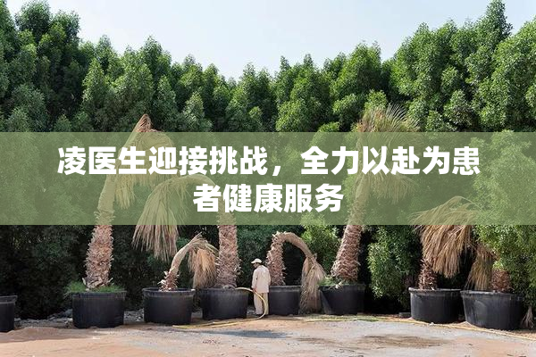 凌医生迎接挑战，全力以赴为患者健康服务