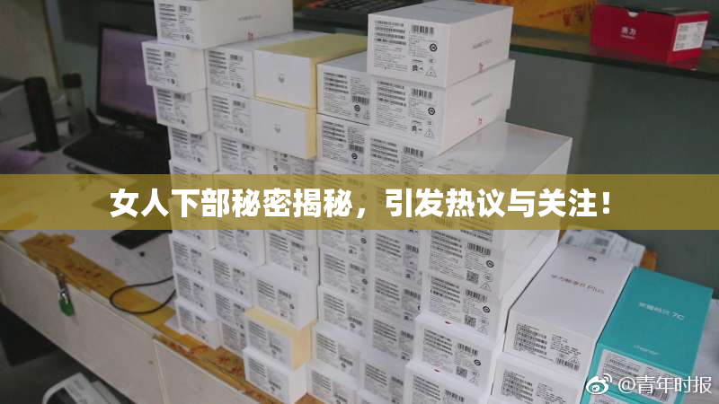 女人下部秘密揭秘，引发热议与关注！