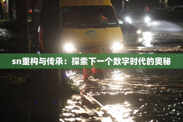 sn重构与传承：探索下一个数字时代的奥秘