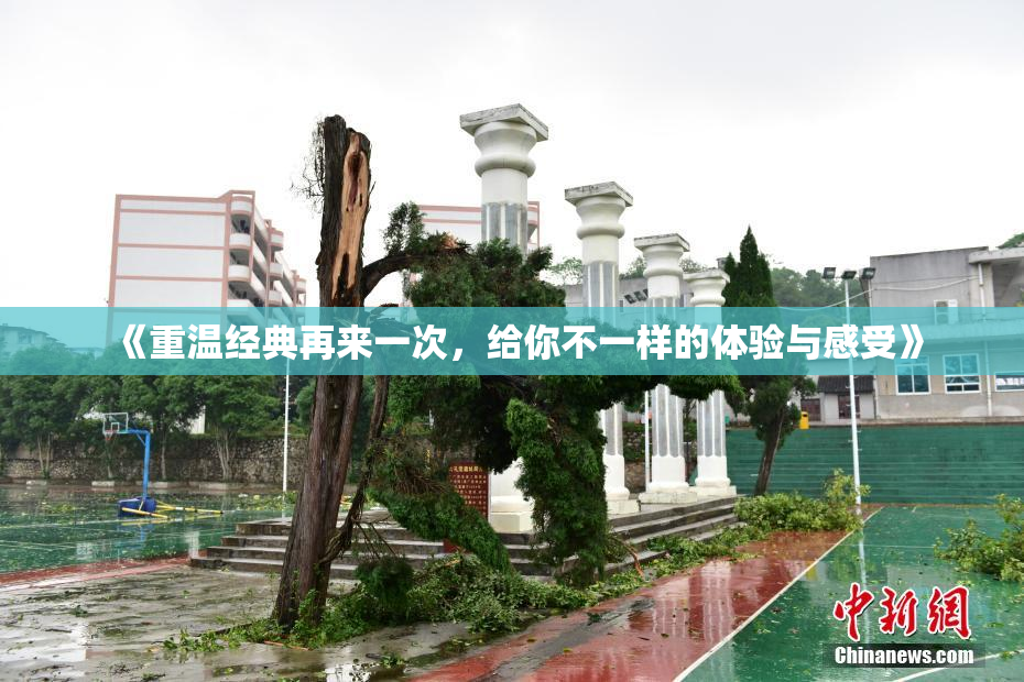 《重温经典再来一次，给你不一样的体验与感受》