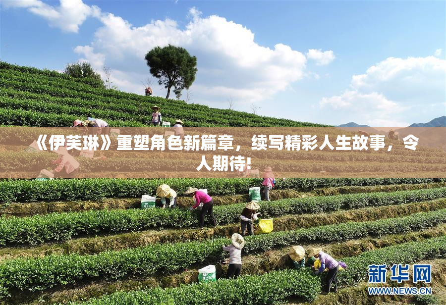 《伊芙琳》重塑角色新篇章，续写精彩人生故事，令人期待!