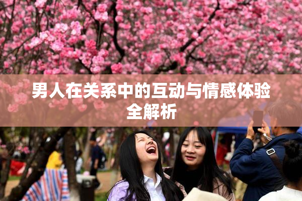 男人在关系中的互动与情感体验全解析