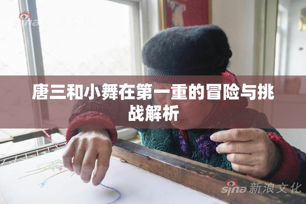 唐三和小舞在第一重的冒险与挑战解析