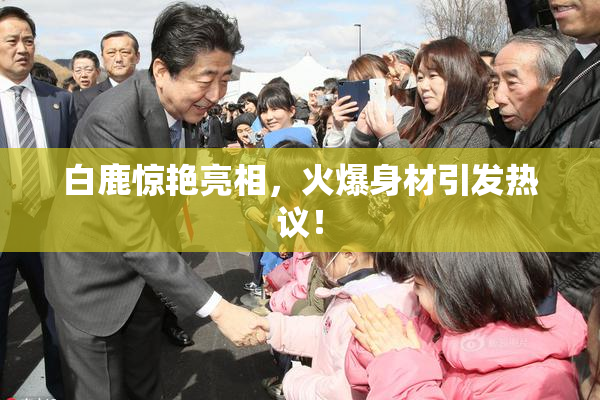白鹿惊艳亮相，火爆身材引发热议！