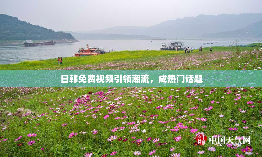 日韩免费视频引领潮流，成热门话题