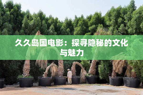 久久岛国电影：探寻隐秘的文化与魅力