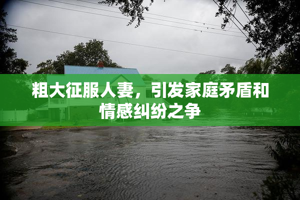 粗大征服人妻，引发家庭矛盾和情感纠纷之争